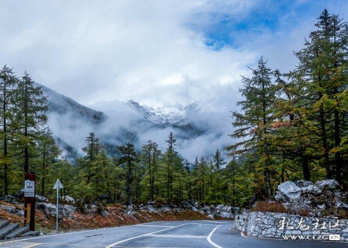 国内媒体：利雅得胜利单场出场费1100万美金