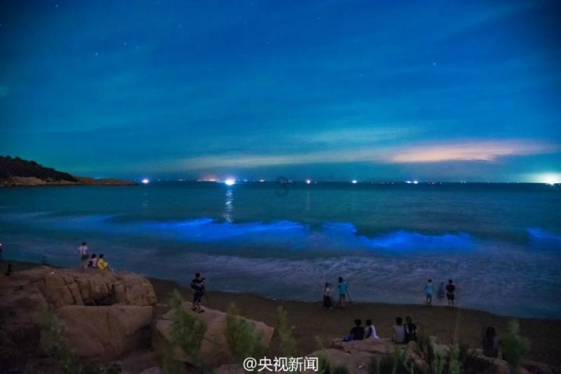 在感情中,总是患得患失,缺乏安全感应该怎么办?-知识星球平台,为你贡献无限知识