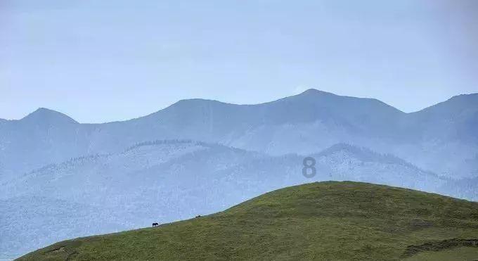 “十四冬”单板滑雪平行大回转青年组男子比赛 内蒙古代表队斩获一金一铜
