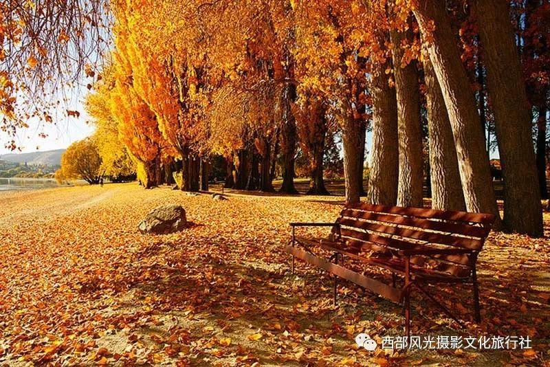 西部建设最新公告:拟4276.03万元将中建科技(福州)30%股权转让给中建海峡