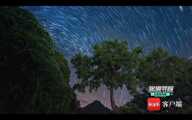 抵制不良诱惑……网格员画“说”青少年健康上网小秘籍