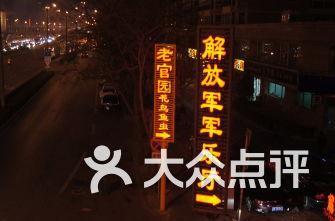 营救小乌龟