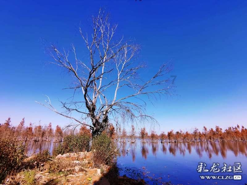 敏感肌应该怎么护理皮肤呢？游戏画面