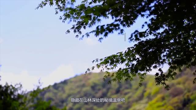 春节前夕国内油价将进行一轮上涨!上次油价白跌了