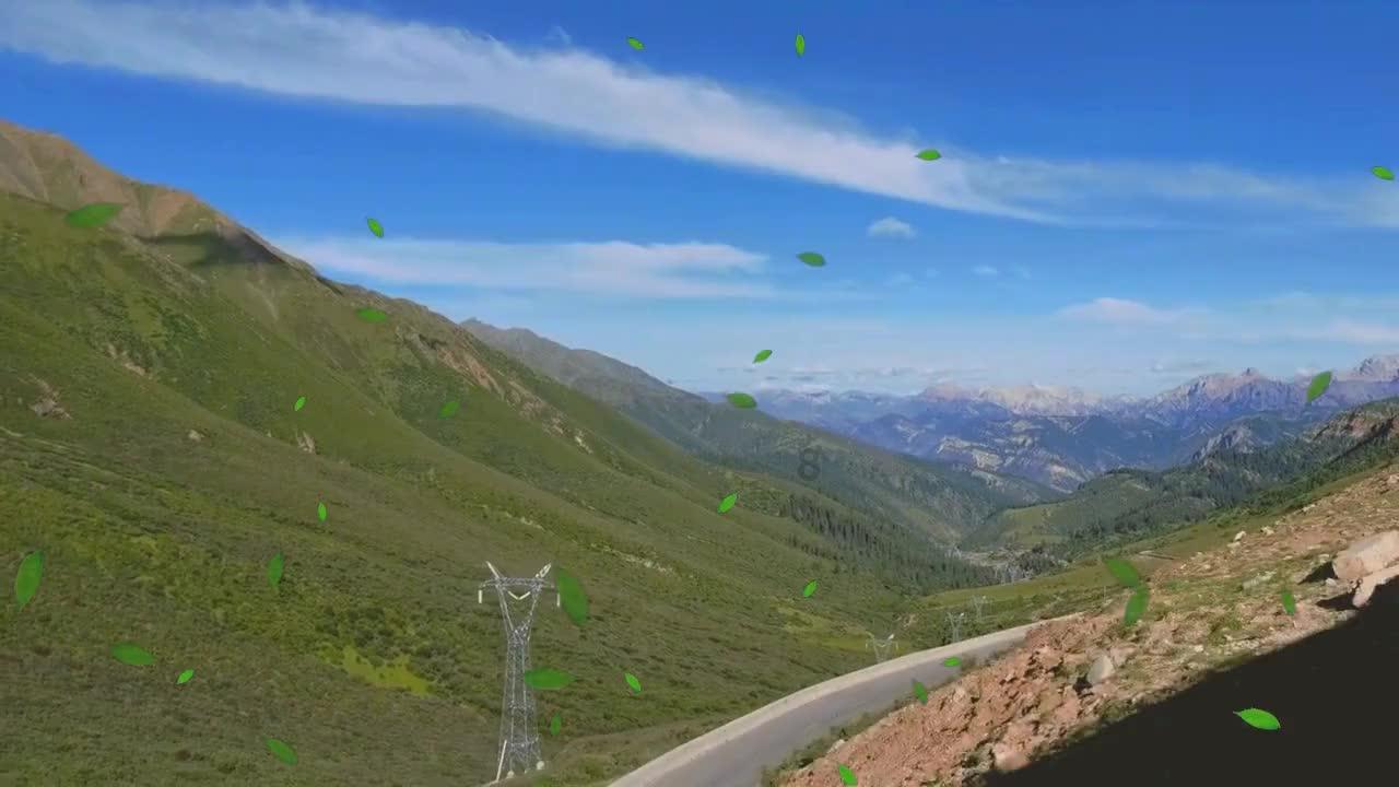 动物帮帮忙保卫家园