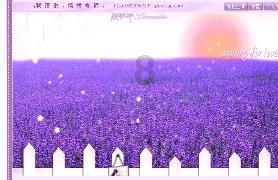 遗失之森