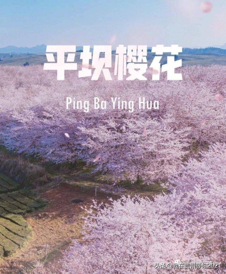 脑洞小老弟无实名认证