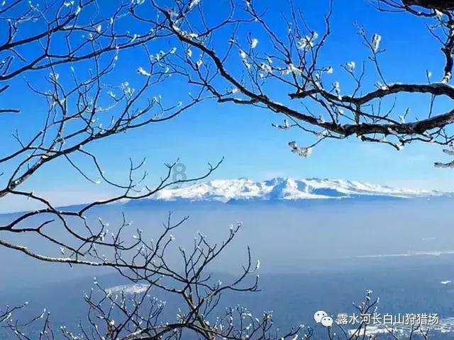 “卖一拽茶叶买不到一拽油!”缅甸茶叶、辣椒农户哭诉生活太难