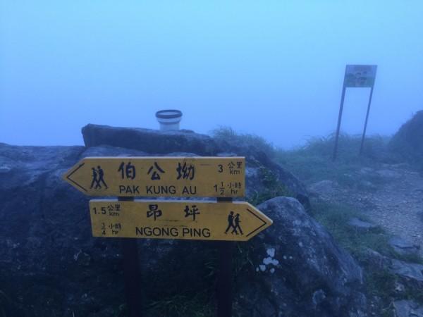 幽幽梦游记