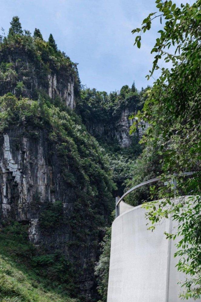 植物大战僵尸16