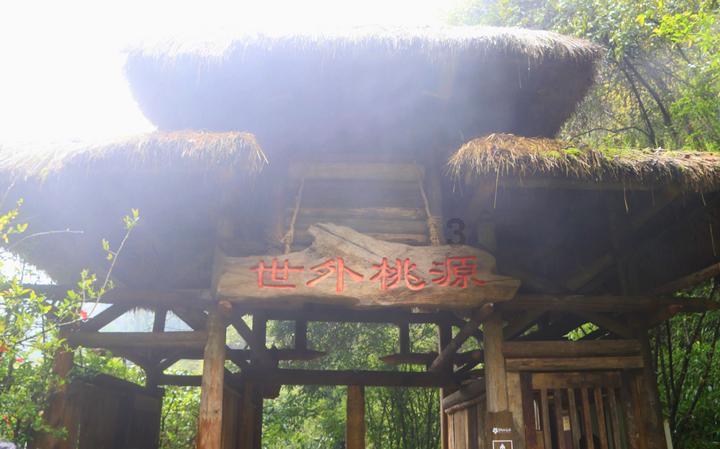 食肉植物森林逃生