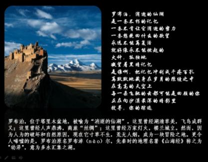 小长颈鹿逃离
