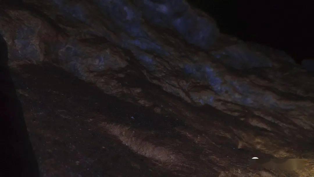 生活中你踩过哪些消费陷阱？游戏画面