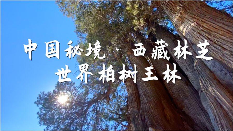 探讨交流,发现答案——