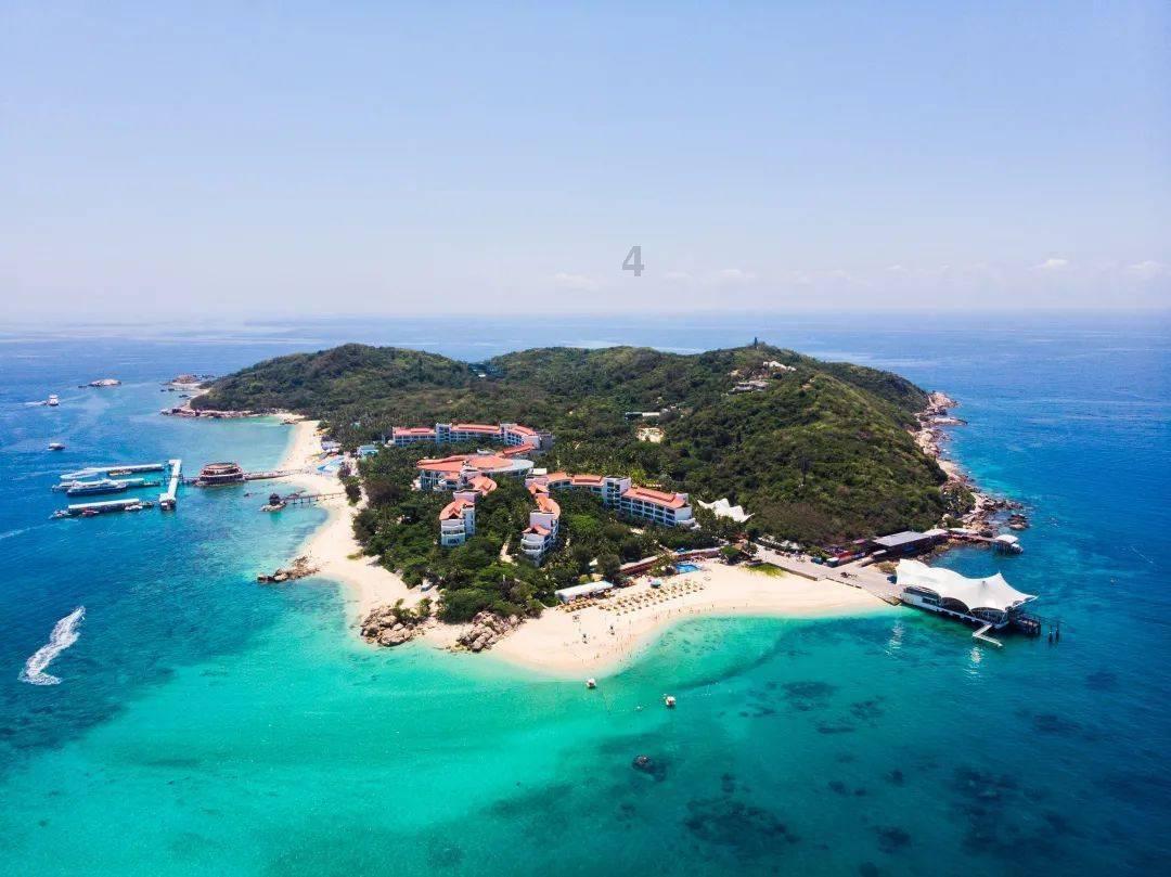 为现代化新青海建设 汇聚正能量增添新动力