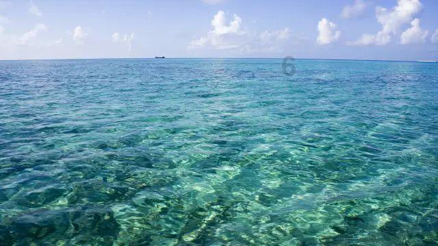 海盗的荣誉