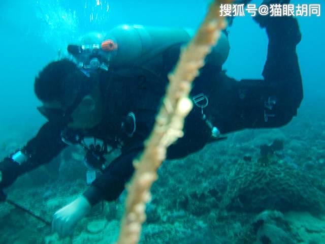 有没有关于爱情的小说推荐一下游戏画面