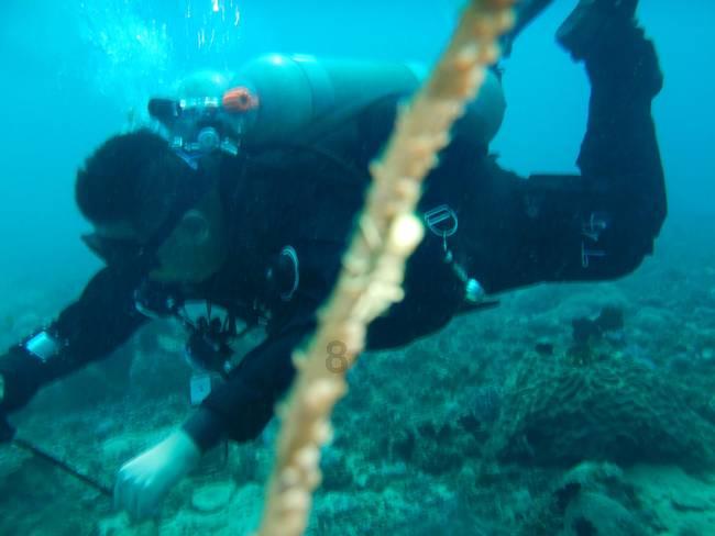浙江经济观察：“外贸大市”宁波何以再出发？