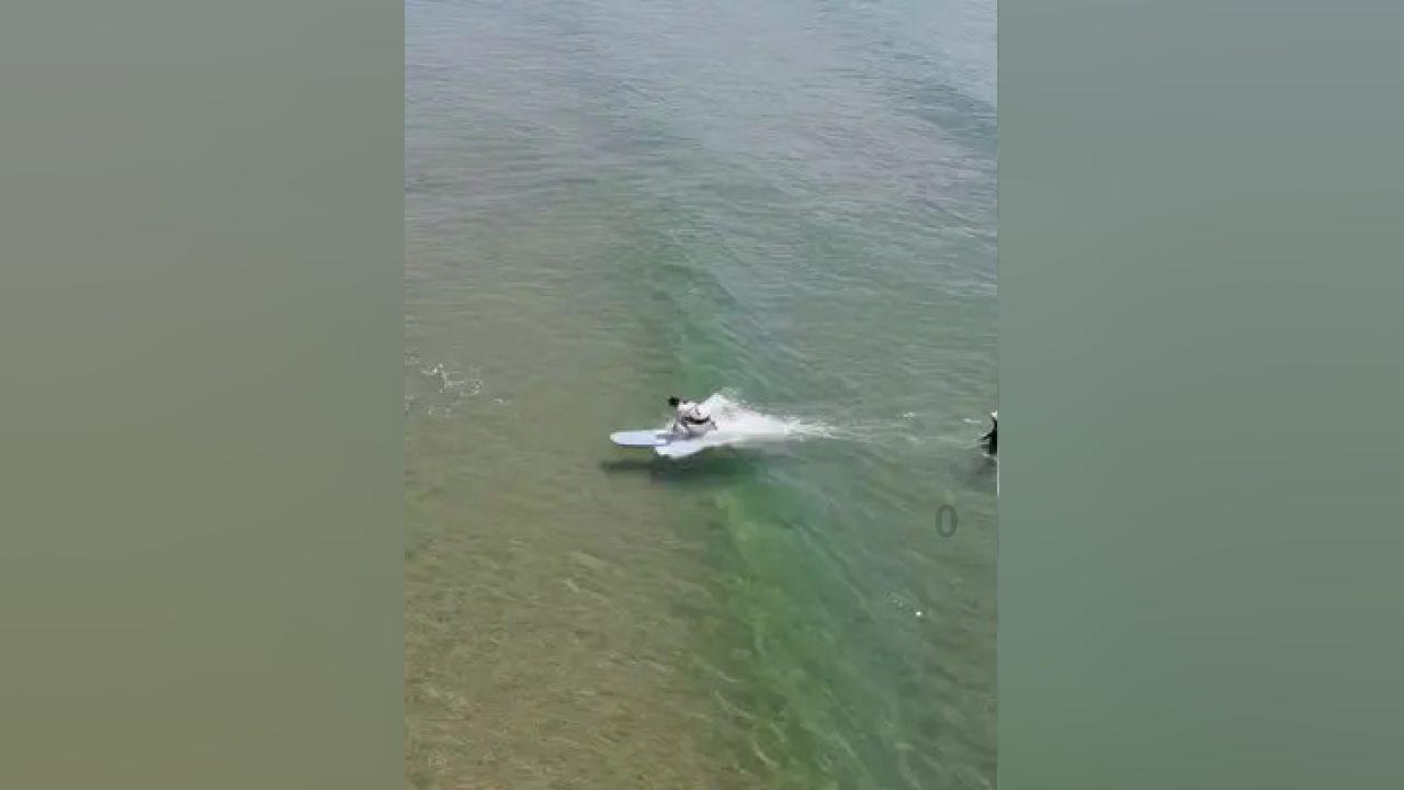 狂野的飙客无敌版