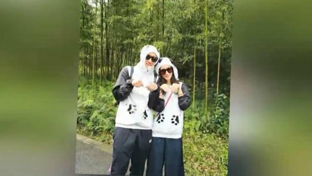 小猫钓鱼正版下载中文版