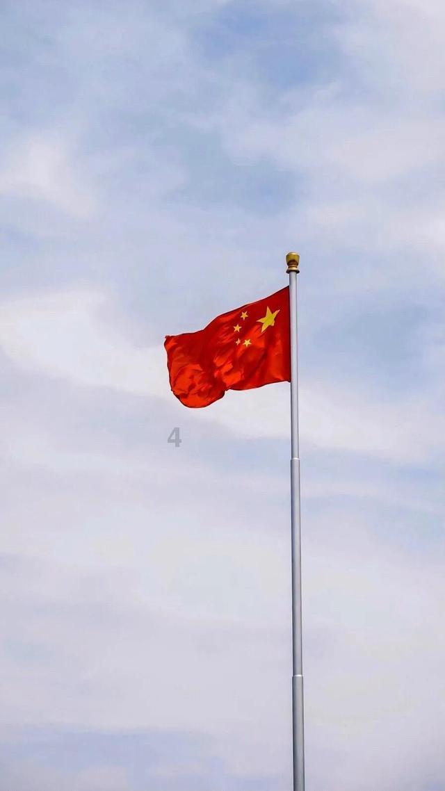创作猫