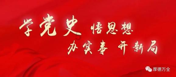 救援小犬立苏
