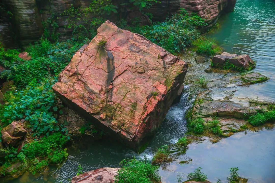 御龙在天手游