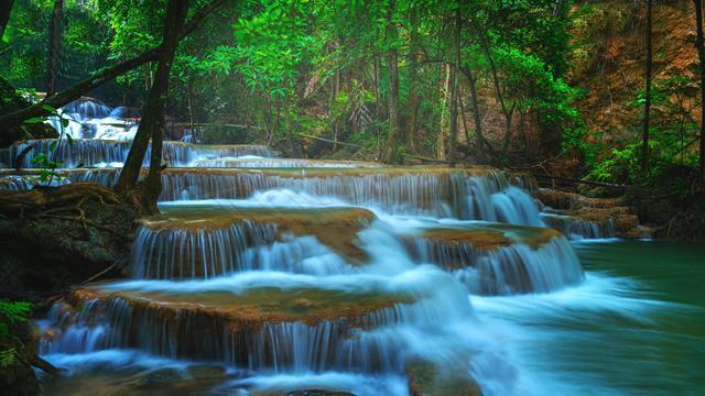 梦想的后院