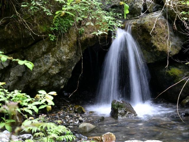 海岛纪元