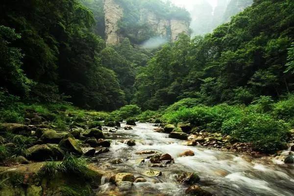 埃琳娜房间清洁