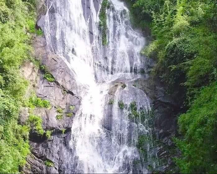 春雨直播app