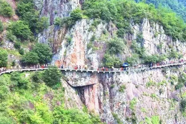 细胞分裂6