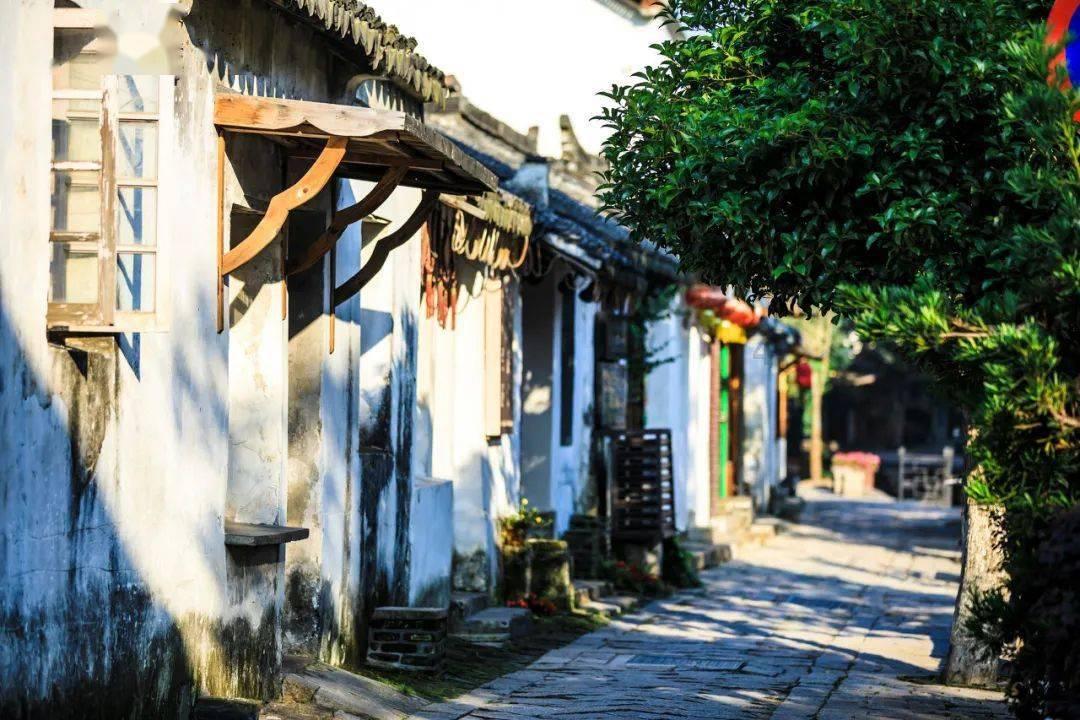 春雨直播app