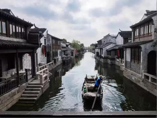 百亩蔬菜喜丰收 助力村集体经济发展
