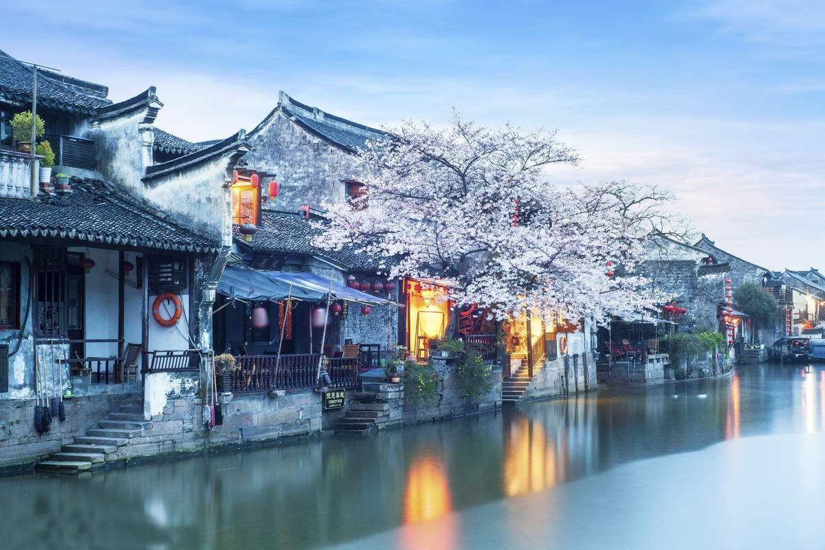 疯狂的麦克斯