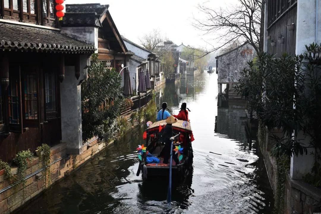 鑫亿盟分享:水鸭子肉的营养价值是什么