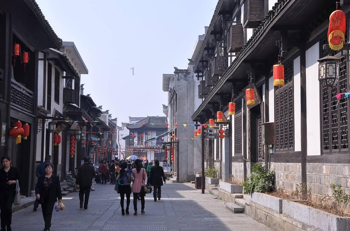 泰迪狗狗吃完消口付多久可以吃庆大霉素？游戏画面