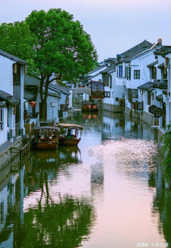 逃离神秘老林