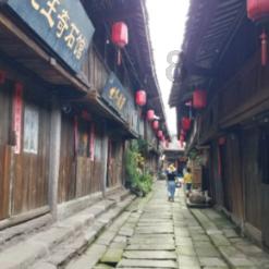 熊仔之熊猫大侠修行路