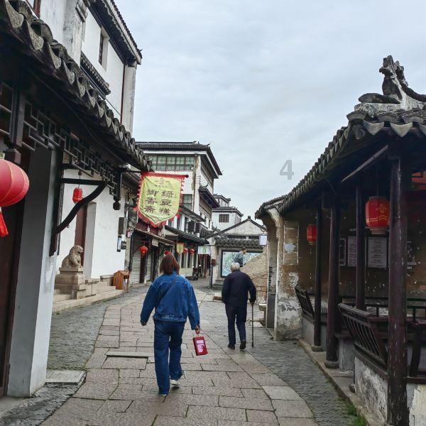 近乎缘木求鱼，卧冰求鲤什么意思