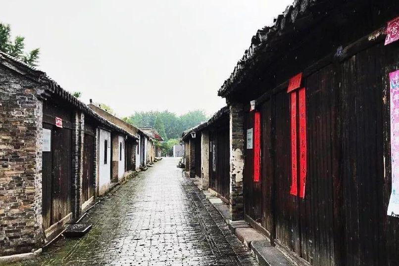 植物大战僵尸8