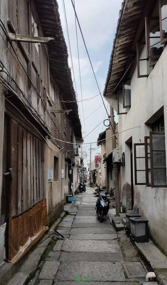 拯救落难小鸟