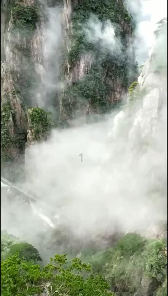 88影视